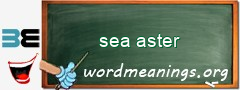 WordMeaning blackboard for sea aster